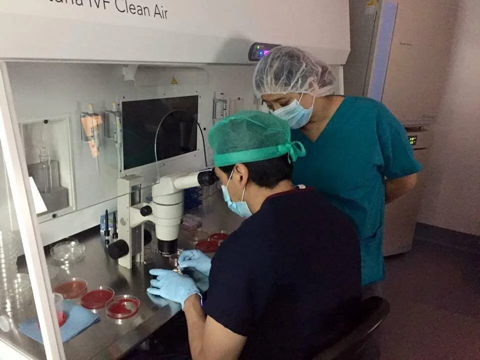 Trabajo en laboratorio de reproducción asistida Dr. Cigüeña