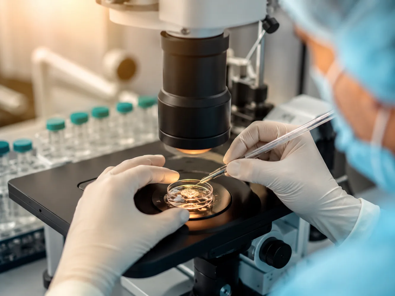 Trabajo de laboratorio embrionario para análisis preimplantacional
